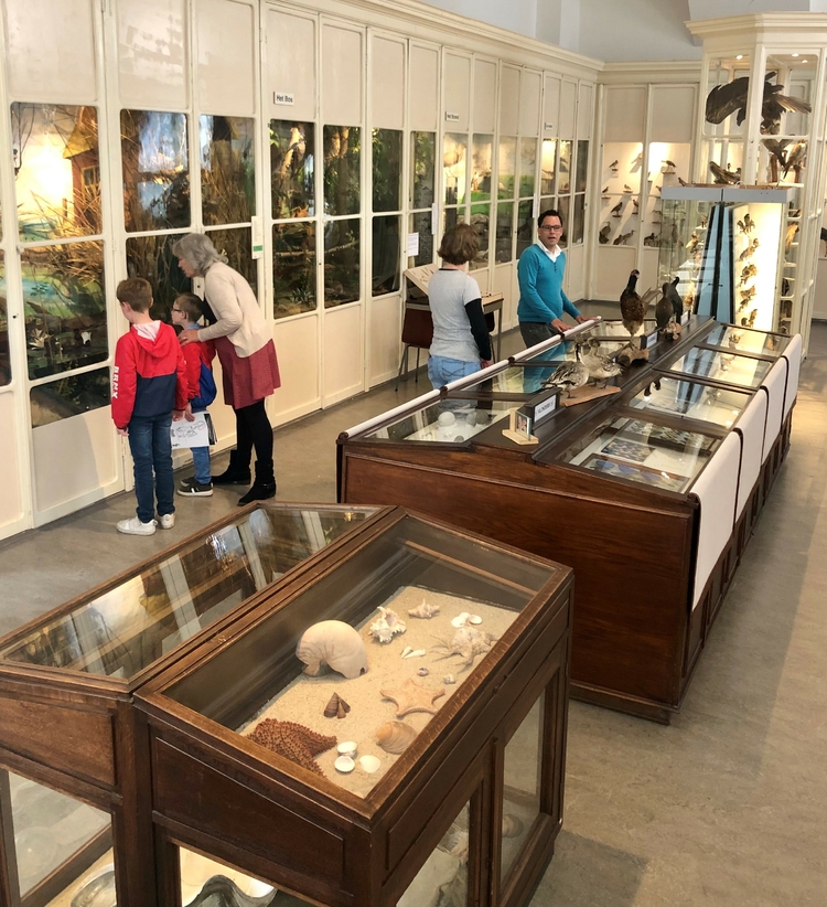 Natuurhistorisch en Volkenkundig Museum Oudenbosch